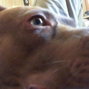 Meet your Posher, Mike